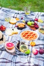 Picnic background with white wine and summer fruits on green grass, summertime party Royalty Free Stock Photo