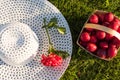 Picnic in the backyard on a sunny day Royalty Free Stock Photo