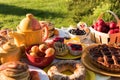 Picnic in the backyard on a sunny day Royalty Free Stock Photo