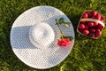 Picnic in the backyard on a sunny day Royalty Free Stock Photo