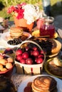 Picnic in the backyard on a sunny day Royalty Free Stock Photo