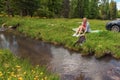 A picnic on the bank of a mountain river with green grass and yellow flowers against the background of coniferous trees and a blue Royalty Free Stock Photo