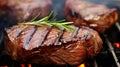 Picnic barbecue: grilled beef steak with spices