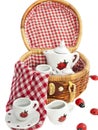 Picnic basket Royalty Free Stock Photo