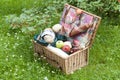Picnic basket Royalty Free Stock Photo