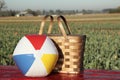 Picnic basket, beach ball in meadow Royalty Free Stock Photo