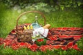 Picnic basket with berries, lemonade, corn and bread. Royalty Free Stock Photo