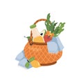 Picnic basket with blanket, fruits, lemonade drink Royalty Free Stock Photo