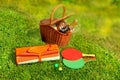 Picnic basket, blanket, racquetball in the grass Royalty Free Stock Photo