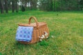 Picnic basket and blue white checkered napkin on forest lawn Royalty Free Stock Photo