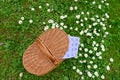 Picnic basket and blue white checkered napkin on lawn with daisy Royalty Free Stock Photo