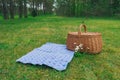 Picnic basket and blue white checkered napkin on lawn in park Royalty Free Stock Photo