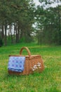 Picnic basket and blue white checkered napkin on park lawn Royalty Free Stock Photo