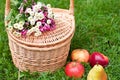 Picnic basket and bright apples on the grass