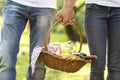 Picnic basket Royalty Free Stock Photo