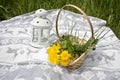 Picnic, basket with dandelios and lamp