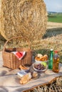 Picnic basket and different food and drinks on straw field Royalty Free Stock Photo