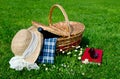 Picnic basket in the field