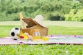 Picnic basket and food at field Royalty Free Stock Photo