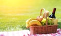 Picnic basket with food on grass Royalty Free Stock Photo