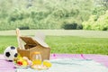 Picnic basket with food on meadow Royalty Free Stock Photo