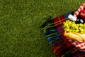 Picnic basket with food and tartan blanket lying on green grass