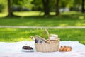 Picnic basket, food and wine at summer park Royalty Free Stock Photo