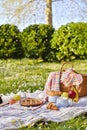 Picnic basket with fruit and bakery on a plaid and a green meadow with flowers. Lunch in the park on the green grass Royalty Free Stock Photo