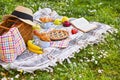 Picnic basket with fruit and bakery on a plaid and a green meadow with flowers. Lunch in the park on the green grass Royalty Free Stock Photo
