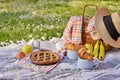 Picnic basket with fruit and bakery on a plaid and a green meadow with flowers.Lunch sweet cake, croissants, drinks Royalty Free Stock Photo