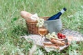 Picnic basket with fruit bread and wine on green grass Royalty Free Stock Photo