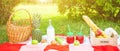 Picnic basket, fruit, juice in small bottles, apples, milk, pineapple summer, rest, plaid, grass Copy space Banner