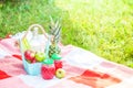 Picnic basket, fruit, juice in small bottles, apples, milk, pineapple summer, rest, plaid, grass Copyspace