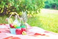 Picnic basket, fruit, juice in small bottles, apples, milk, pineapple summer, rest, plaid, grass Copyspace