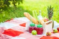 Picnic basket, fruit, juice in small bottles, apples, milk, pineapple summer, rest plaid green grass Copyspace