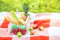 Picnic basket, fruit, juice in small bottles, apples, milk, pineapple summer, rest plaid green grass Copyspace