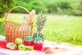 Picnic basket, fruit, juice in small bottles, apples, milk, pineapple summer, rest, plaid, grass Copy space