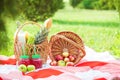 Picnic basket, fruit, juice in small bottles, apples, milk, pineapple summer, rest, plaid, grass Copy space