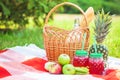 Picnic basket, fruit, juice in small bottles, apples, milk, pineapple summer, rest, plaid, grass Copy space