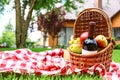 Picnic basket with  and bottle of wine on checkered blanket in garden Royalty Free Stock Photo