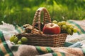 Picnic basket with fruits III Royalty Free Stock Photo