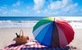 Picnic basket with fruits by the ocean Royalty Free Stock Photo