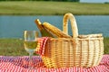 Picnic Basket and Glass of Wine Royalty Free Stock Photo