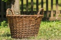 Picnic Basket In Grass Royalty Free Stock Photo