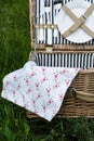 Picnic Basket in the Grass Royalty Free Stock Photo