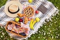 Picnic basket on the green grass in the park. Delicious food for lunch outdoors. Sweet pastries, drinks and fruits. Nice Royalty Free Stock Photo