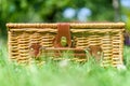 Picnic Basket Hamper In Green Grass Royalty Free Stock Photo