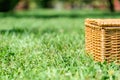 Picnic Basket Hamper In Green Grass Royalty Free Stock Photo