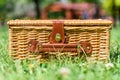 Picnic Basket Hamper In Green Grass Royalty Free Stock Photo