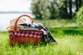 Picnic basket with hat, book and grasses on the grass at the summer sunny day Royalty Free Stock Photo